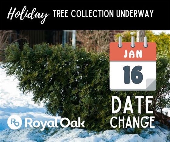 Holiday Tree Collection