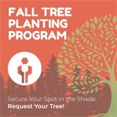 Fall Tree Planting Program