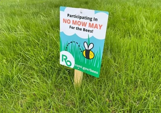 No Mow May