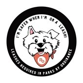 Dogs are safer when they are on a leash.