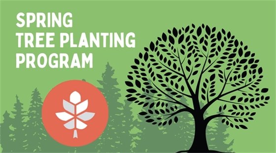 Spring Tree Planting Program