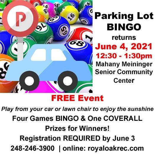 Parking Lot Bingo Flyer
