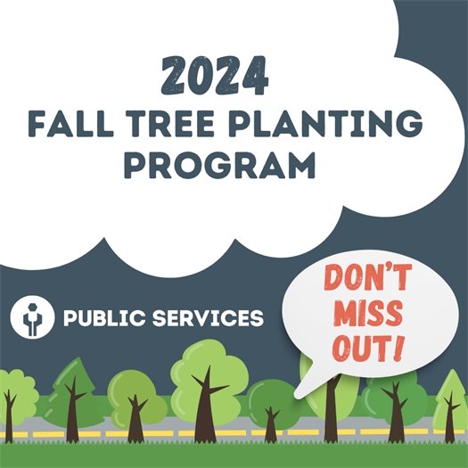 Fall Tree Planting Program