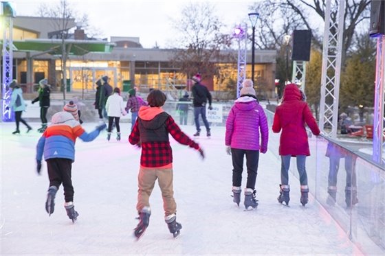 The Rink at Royal Oak
