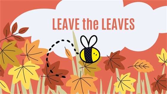 Leave the Leaves