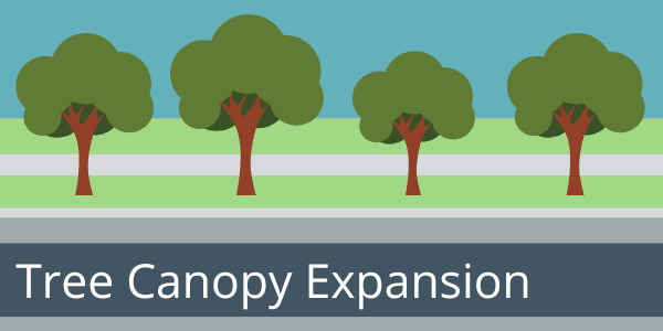 Canopy Expansion Program 