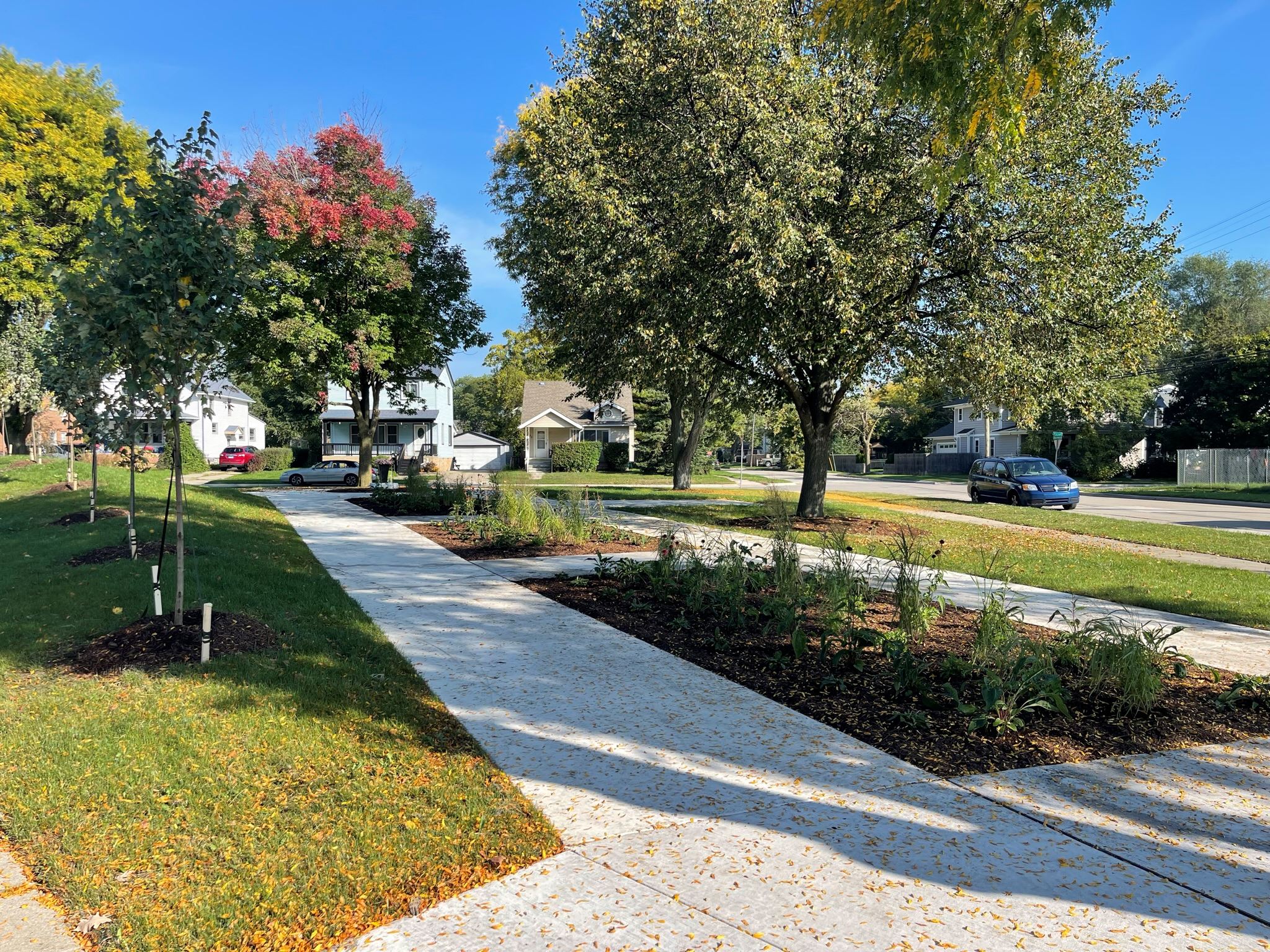 Hamer Finch Wilkins Park